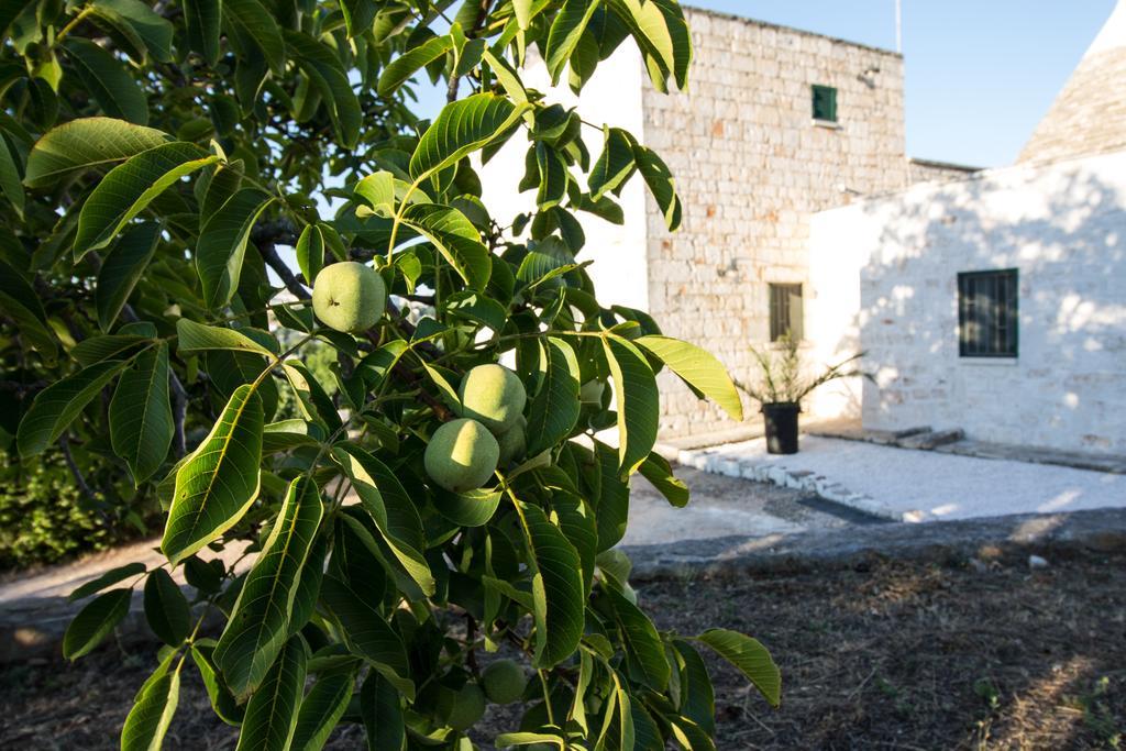 Maison Milleottocento Villa Cisternino Bagian luar foto