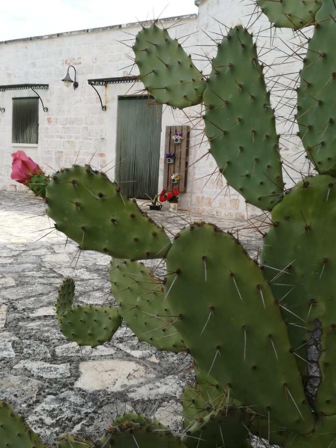 Maison Milleottocento Cisternino Bagian luar foto