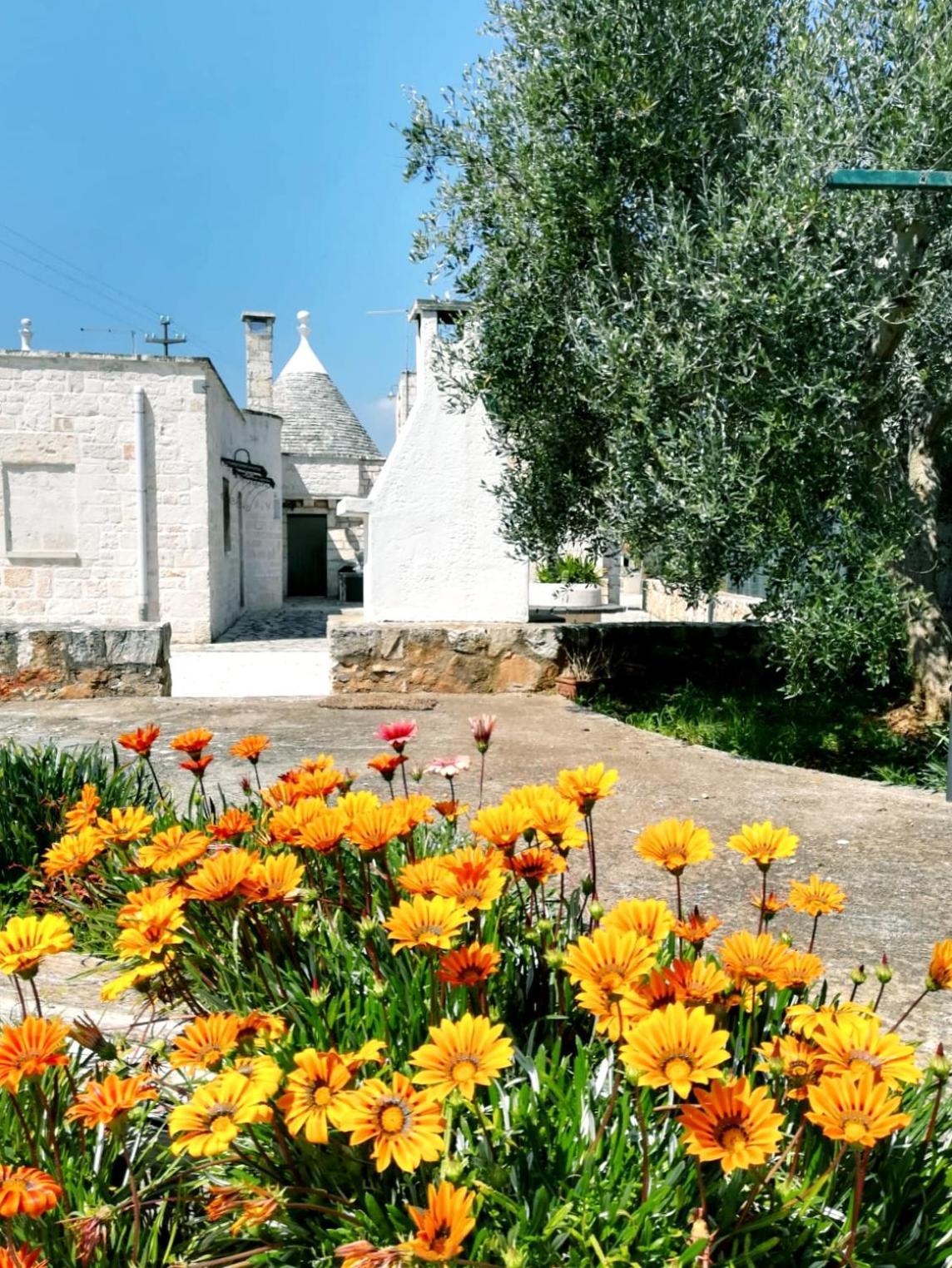 Maison Milleottocento Villa Cisternino Bagian luar foto